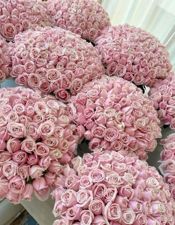 Secret Garden's Midnight Blossom